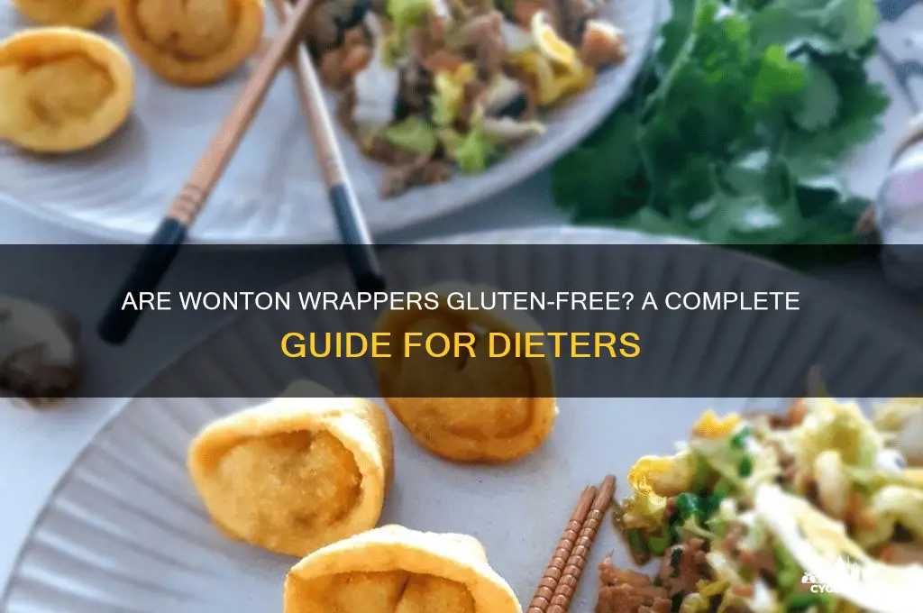 Are Wonton Wrappers Gluten-Free? A Complete Guide For Dieters | CyGluten