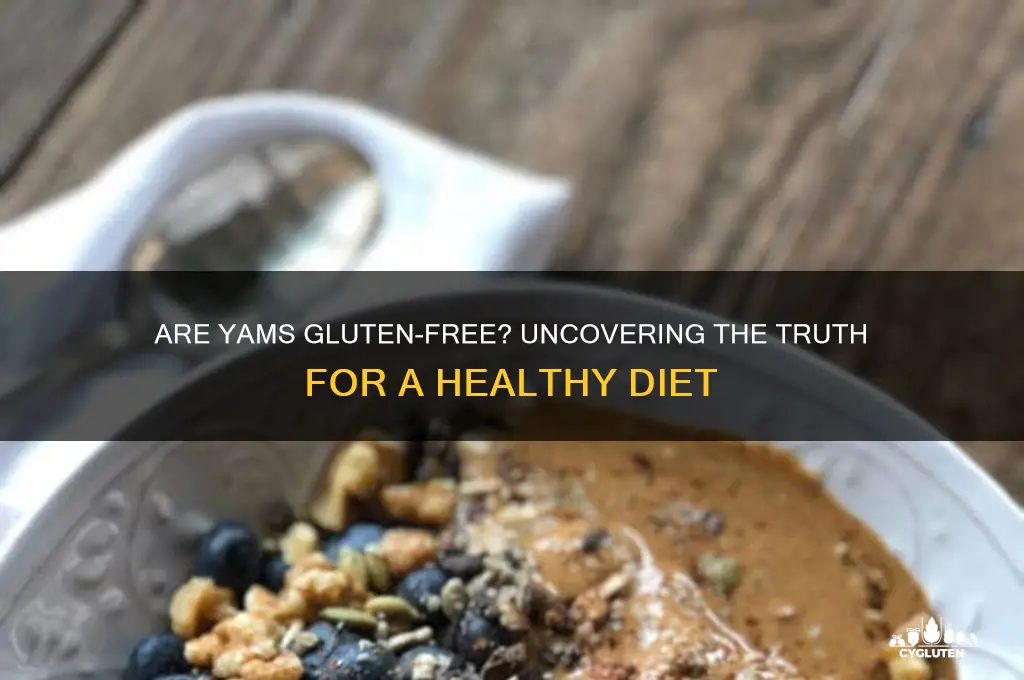 are yams gluten free