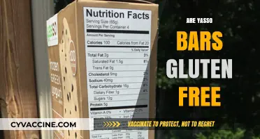 Are Yasso Bars Gluten-Free? A Complete Guide for Dietary Needs