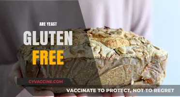 Is Yeast Gluten-Free? Understanding Its Role in a Gluten-Free Diet