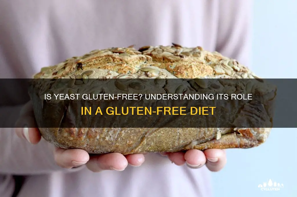 are yeast gluten free