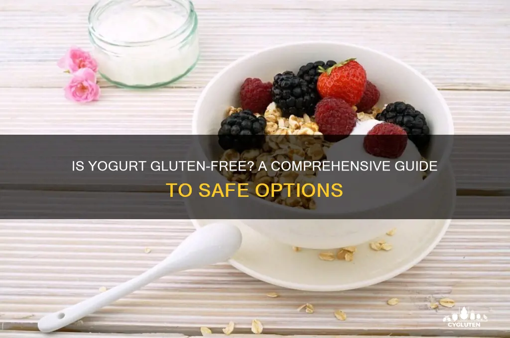 are yogurt gluten free