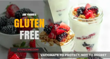 Are Yogurts Gluten-Free? A Comprehensive Guide to Safe Options
