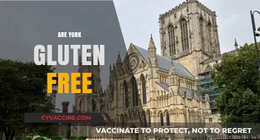 Are York Products Gluten-Free? A Comprehensive Guide for Celiacs