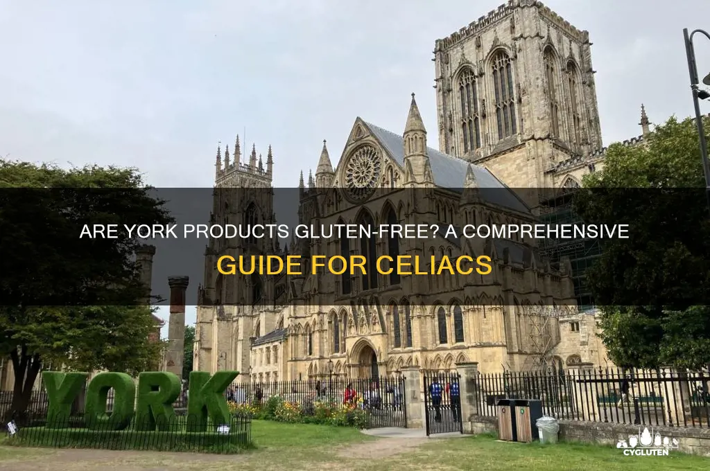 are york gluten free