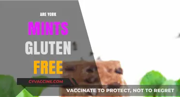 Are York Mints Gluten-Free? A Sweet Treat Guide