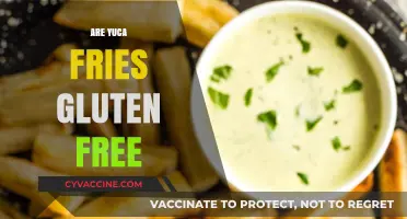Are Yuca Fries Gluten-Free? A Tasty Alternative Explained