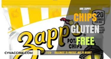 Are Zapps Chips Gluten Free? A Crunchy Snack Fact Check