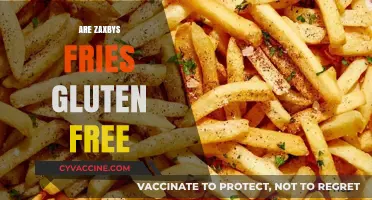 Are Zaxby's Fries Gluten-Free? A Complete Guide for Celiac Diners