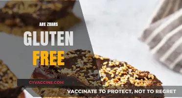 Are Zbars Gluten-Free? A Complete Guide to Ingredients and Safety