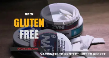 Are Zyn Pouches Gluten-Free? A Comprehensive Guide for Consumers