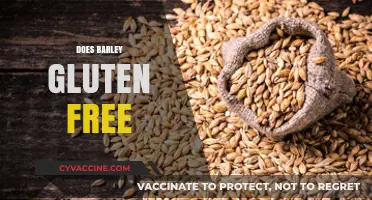 Is Barley Gluten-Free? Unraveling the Truth for Your Diet