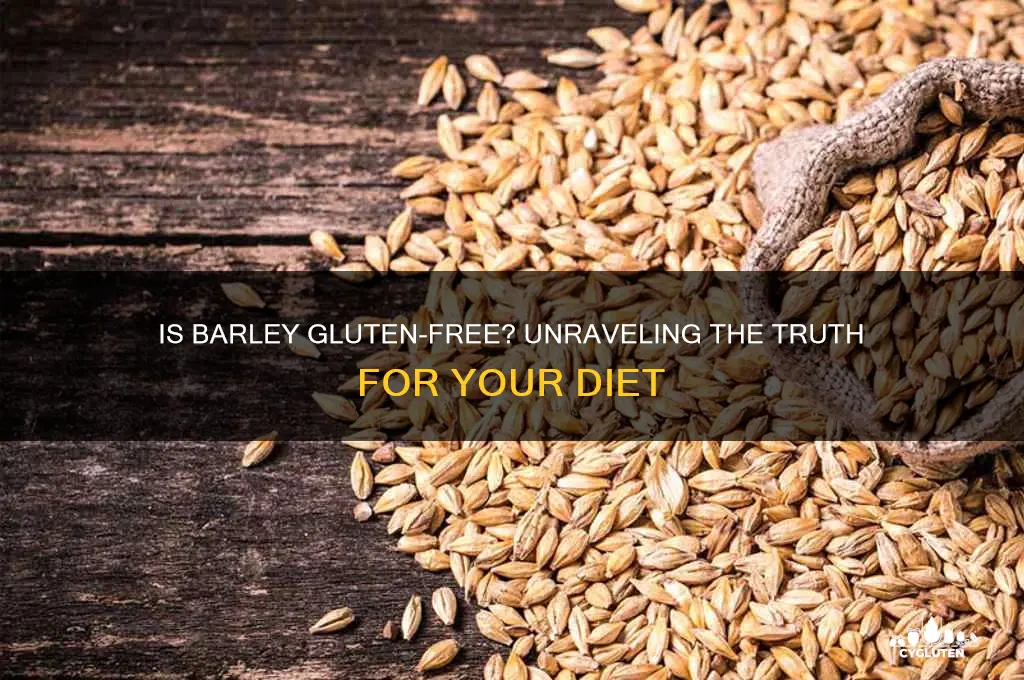 does barley gluten free
