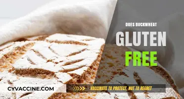 Is Buckwheat Gluten-Free? Unraveling the Truth for Celiac Diets