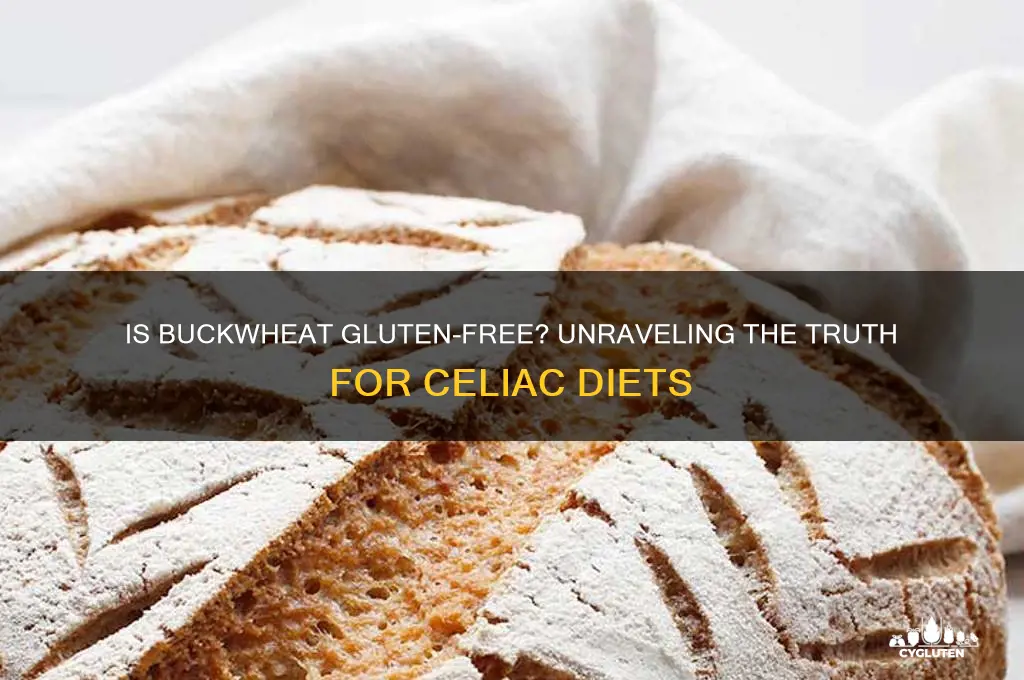 does buckwheat gluten free