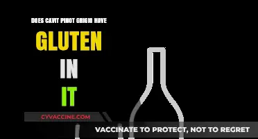 Uncorking the Truth: Is Cavit Pinot Grigio Gluten-Free?