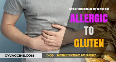 Unraveling the Myth: Celiac Disease vs. Gluten Allergy