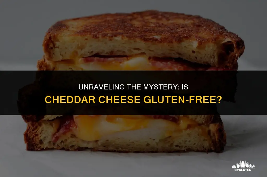 does cheddar cheese have gluten in it