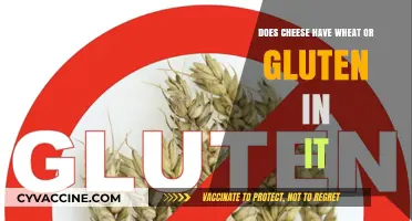 Exploring Cheese: A Guide to Gluten and Wheat Content