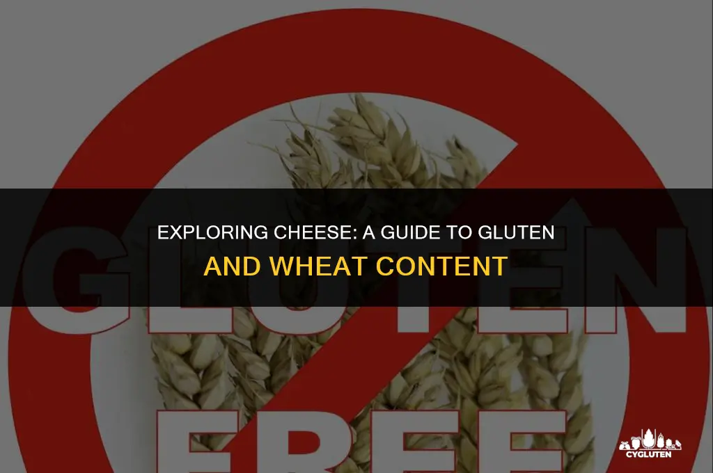 does cheese have wheat or gluten in it