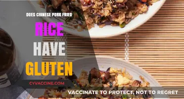 Exploring Gluten Presence in Chinese Pork Fried Rice