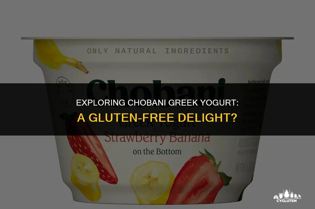 does chobani greek yogurt have gluten in it