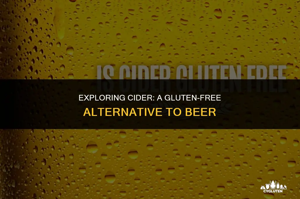 does cider have wheat and gluten in it