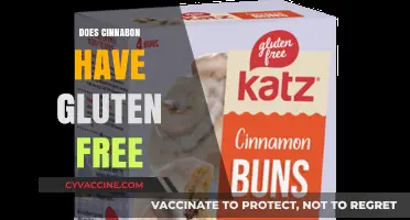 Cinnabon Gluten-Free Options: What You Need to Know