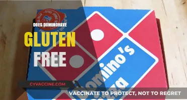 Does Domino's Offer Gluten-Free Pizza Options? A Complete Guide
