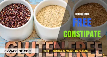 Gluten-Free Diet and Constipation: Causes, Myths, and Solutions Explained