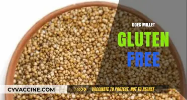 Is Millet Gluten-Free? Unlocking the Truth for a Healthy Diet
