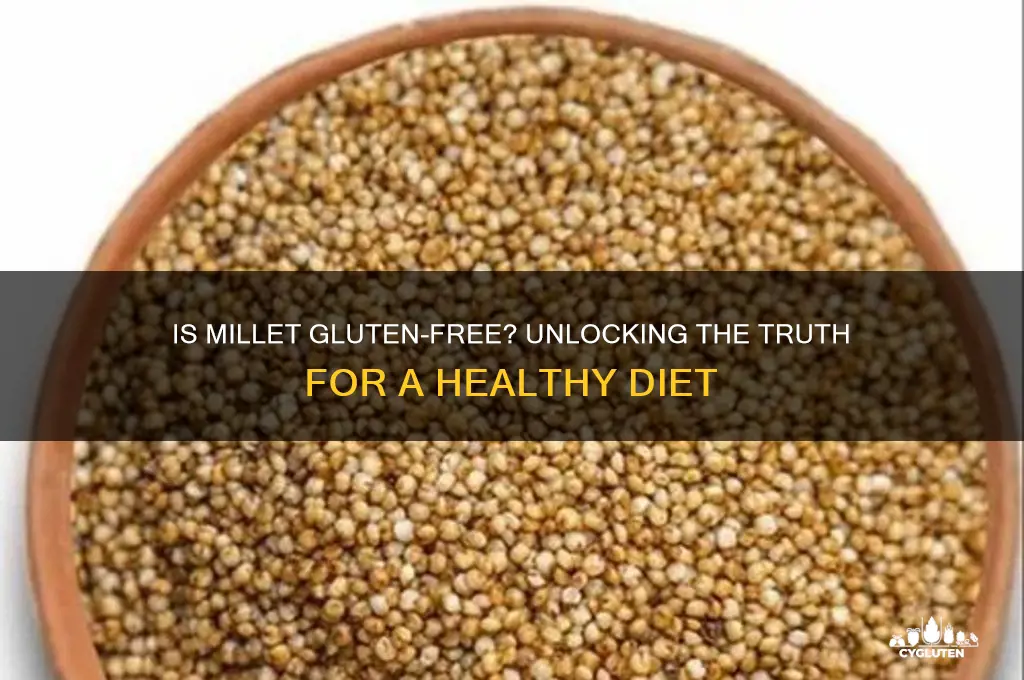 does millet gluten free