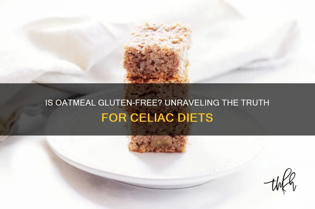 does oatmeal gluten free