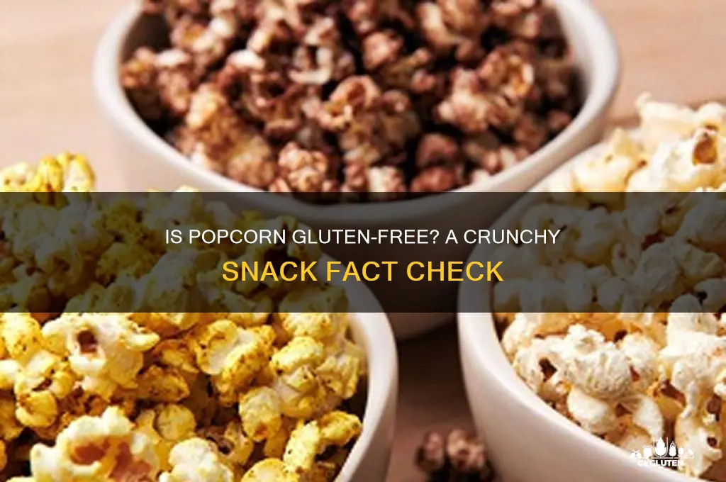 does popcorn gluten free
