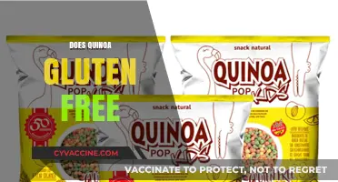 Is Quinoa Gluten-Free? A Complete Guide to This Superfood