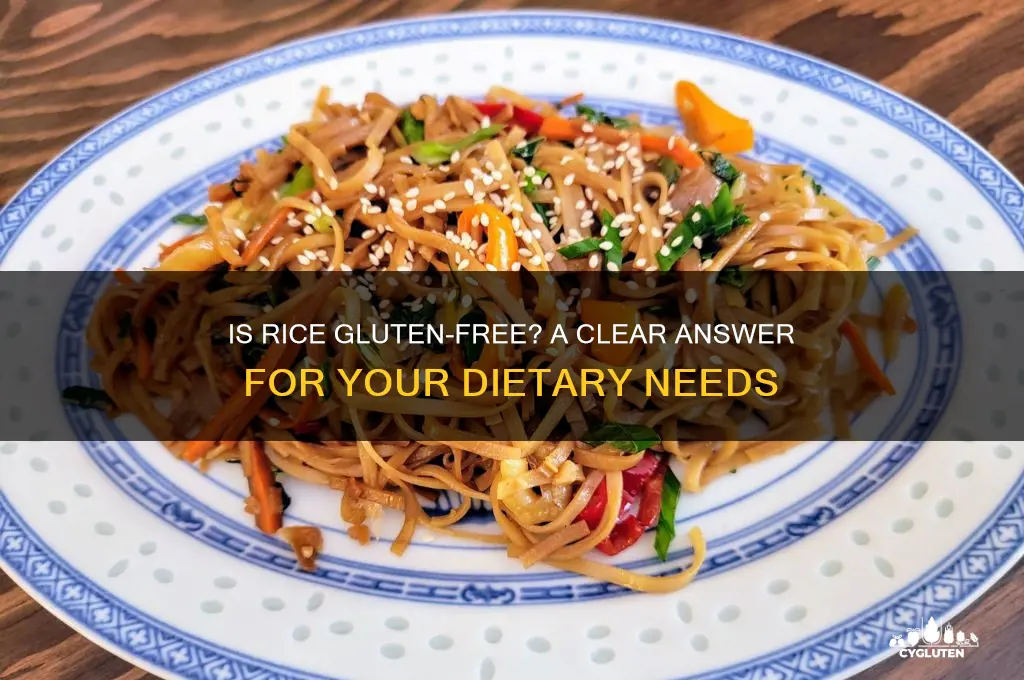 does rice gluten free