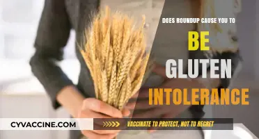 Exploring the Link Between Roundup and Gluten Intolerance