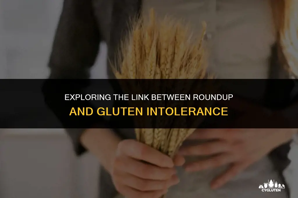 does roundup cause you to be gluten intolerance