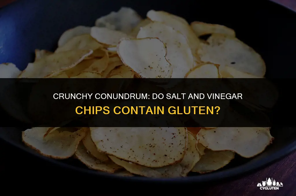 does salt and vinegar chips have gluten