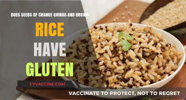 Gluten-Free Goodness: Seeds of Change Quinoa and Brown Rice