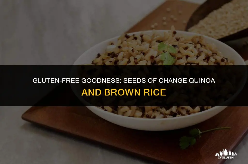 does seeds of change quinoa and brown rice have gluten