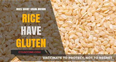 Unveiling the Truth: Is Short Grain Brown Rice Gluten-Free?