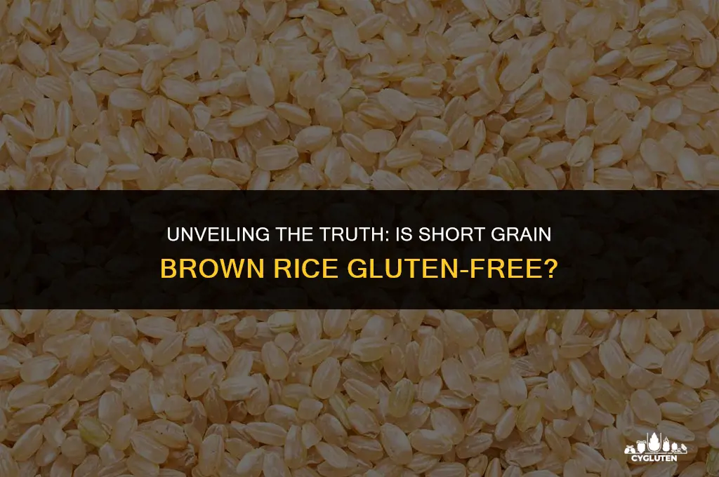 does short grain brown rice have gluten
