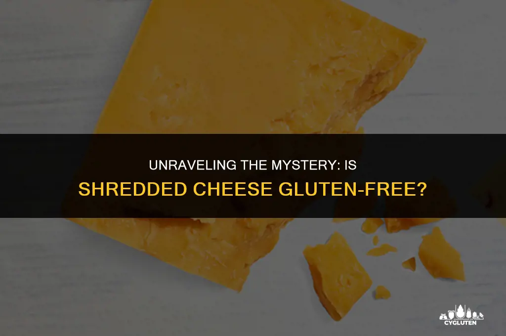 does shredded cheese have gluten in it
