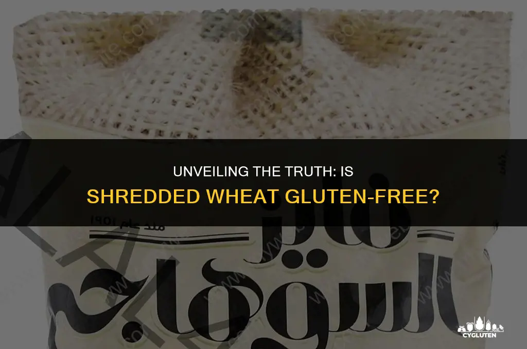 does shredded wheat have gluten in it