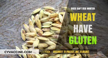 Exploring Gluten Content in Soft Red Winter Wheat Varieties