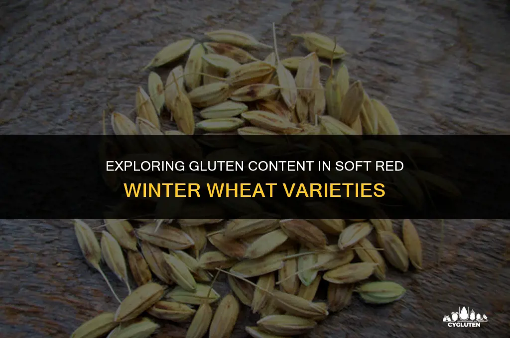 does soft red winter wheat have gluten