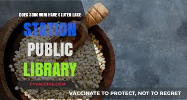 Exploring Sorghum: A Gluten-Free Alternative at Lake Station Public Library