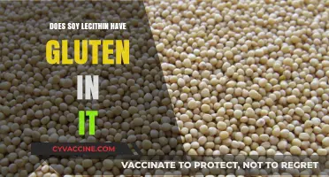 Unveiling the Truth: Soy Lecithin and Gluten Content Explained