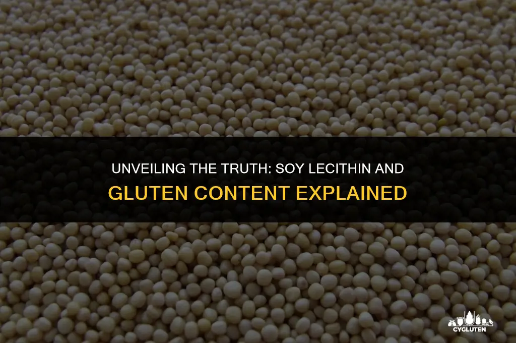 does soy lecithin have gluten in it